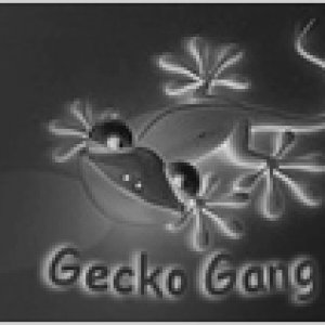 black_gekko
