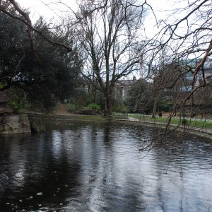 stevens green pond