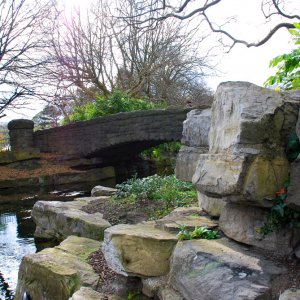 the bridge