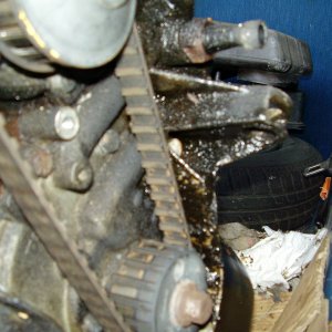 Panda crank sensor mount