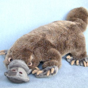 platypus-stuffed-plush-f787