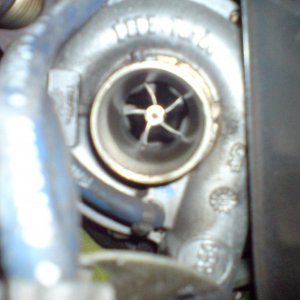 DSC00725