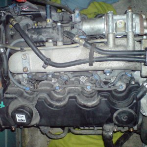 DSC00726