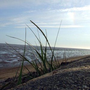 DSCF3082