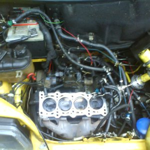 Few Pics