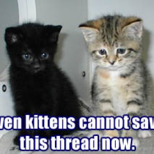 Thread-Cannot_be_saved_by_kittens