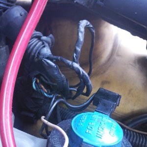 Cut_Wires