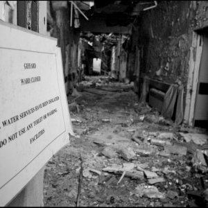 decay_bw