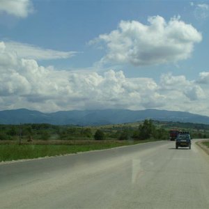 PICT0026_Medium_1