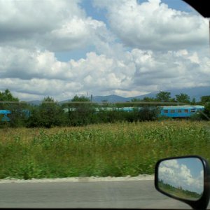 PICT0028_Medium_1