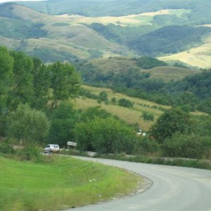 PICT0045_Medium_