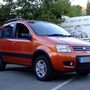 Orange panda 4x4