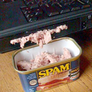 SPAM