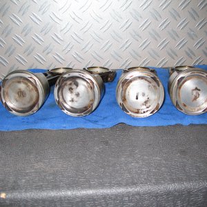 16v Piston Tops