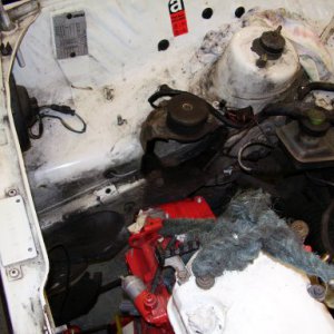 Trial engine fit