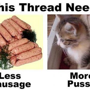 Needssausage