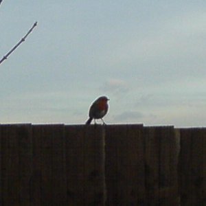 DSC001665
