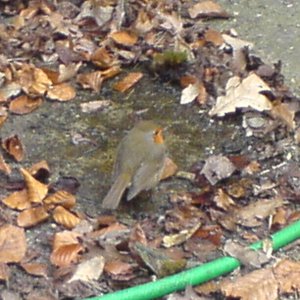 DSC001681