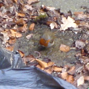 DSC001693