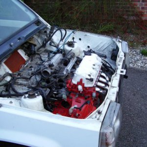 The Vtec is in