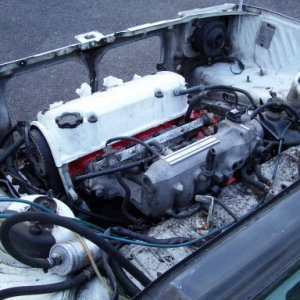 The Vtec is in