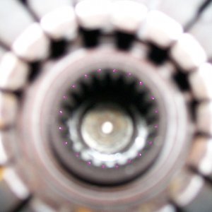 20_Teeth