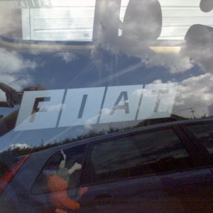 Fiat etched glass style sticker (both sides)