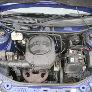 en