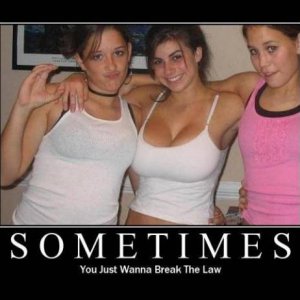 funny14