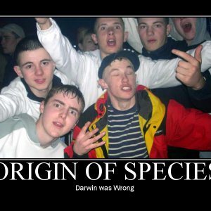 o5m7arg84no3vwon8yq