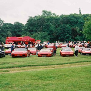 all the ferraris