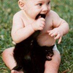 funny-pictures-baby-eats-black-cat-tail