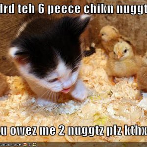 funny-pictures-chicken-nuggets