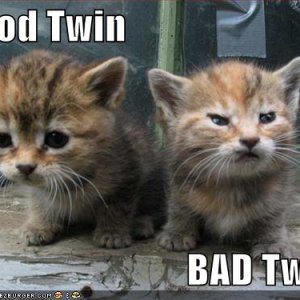 funny-pictures-good-and-evil-kittens