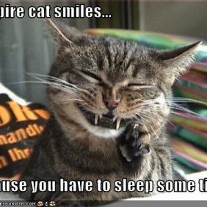 funny-pictures-happy-vampire-cat