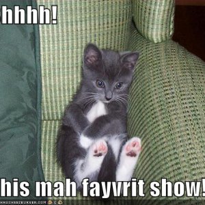 funny-pictures-kitten-watches-tv