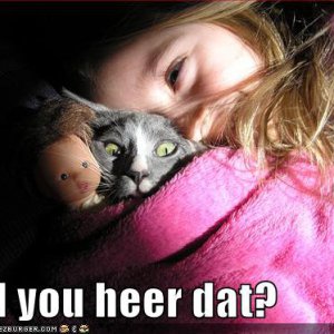 funny-pictures-scared-cat-bed-girl-doll
