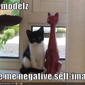 funny-pictures-self-image-cat