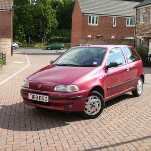 My punto bog standard