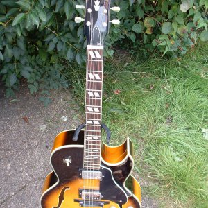 Tokai FA70 Top