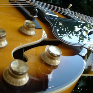 Tokai FA70 close up
