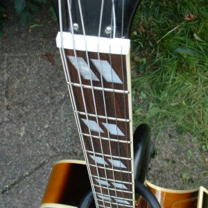 Tokai FA70 fretboard