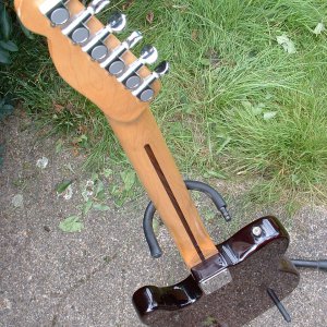 Squier Telecaster top rear