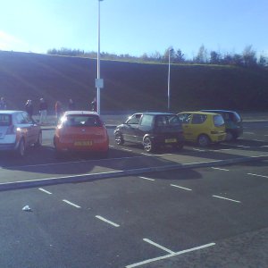 Rears