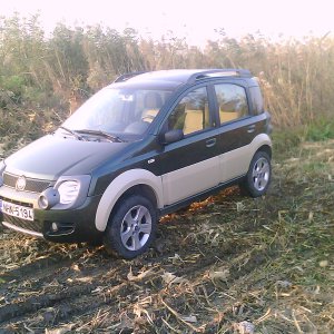 Fiat Panda Cross 2007