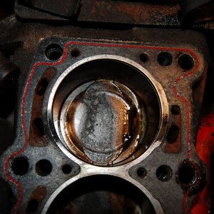 1242_8v_HG_no4up