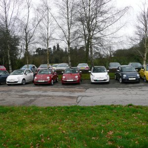 New Forest Meet December 2008