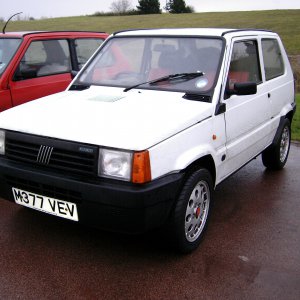 Panda's Galore at Gaydon