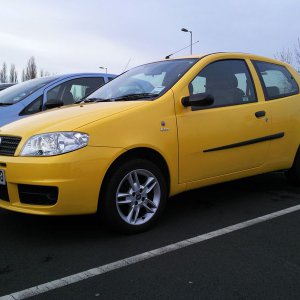 Salvo's yellow Punto