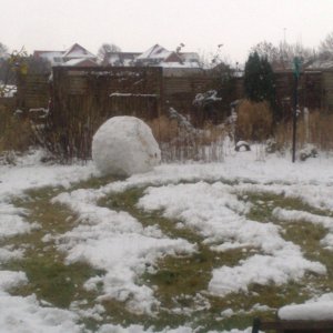 snowball_feb09_9_